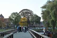 BadendeHanTenBrinke124