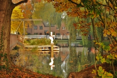 BadendeHanTenBrinke135