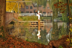 BadendeHanTenBrinke136