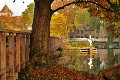 BadendeHanTenBrinke137