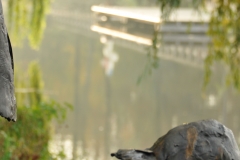 BadendeHanTenBrinke147