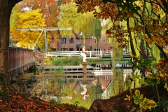 BadendeHanTenBrinke149