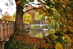 BadendeHanTenBrinke150