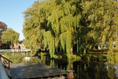 BadendeHanTenBrinke45