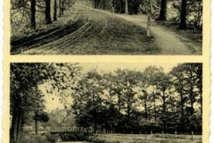 AnsichtkaartMetBerkel