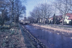 BerkelBloemersstraat