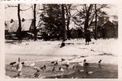 BerkelBorculoWinter1956