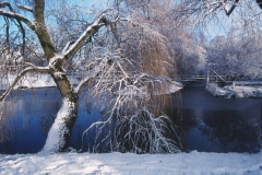 BerkelLangsBloemersstraatWinter