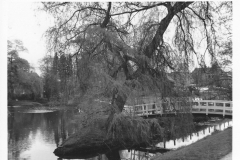 BerkelMolenkolkPerkamentlaantje