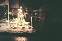 BerkelWatermolensWinter