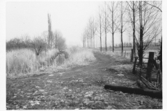 BerkeltakLangsDeIJsbaan
