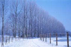 NieuweBerkelRondBorculoWinter