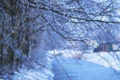 NieuweBerkelRondBorculoWinter