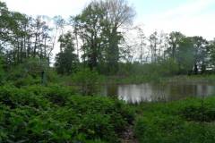 Mallumse Molen Zwembad