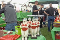Berkel-Hanze-Festival 2023 Zutphen