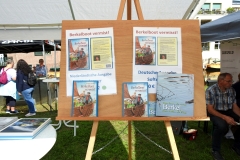 Berkel-Hanze-Festival 2023 Zutphen