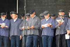Berkel-Hanze-Festival 2023 Zutphen