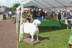 Berkel-Hanze-Festival 2023 Zutphen