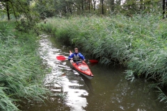 Mallumse molen