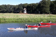 Staringkoepel