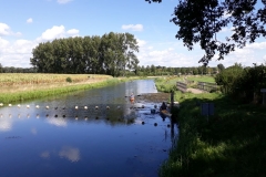 stuw Besselink