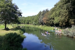 Bij de Spitholterbrug, Almen