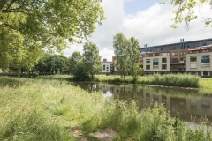 ZutphenGraafOttosingel2010-EgginkMaalderinkSerc-1200