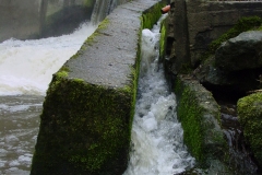 Boottocht2006-1-DSC04790