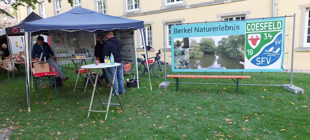 Berkelfestival 2026 Coesfeld