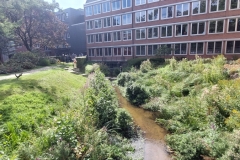 Berkelfestival 2026 Coesfeld