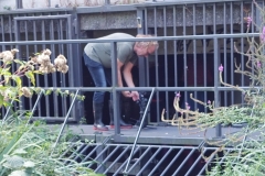 Berkelfestival 2026 Coesfeld