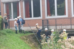Berkelfestival 2026 Coesfeld