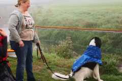 009-IMG-20210826-WA0009