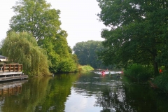 134-IMG-20210826-WA0004
