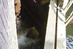 169-IMG-20210826-WA0100