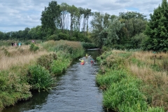 Elbrinksvonder