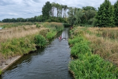Elbrinksvonder