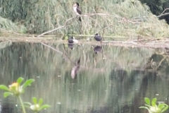 Berkel Kanorally 2023