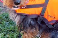 Berkel Kanorally 2023