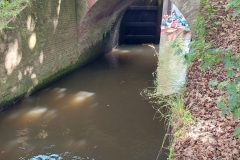 Berkel Kanorally 2023