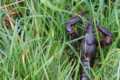 Berkel Kanorally 2023