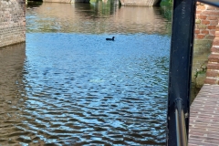 Berkel Kanorally 2023