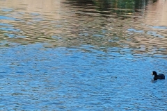 Berkel Kanorally 2023