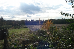Excursie2013-41