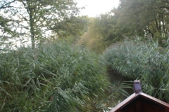 Bij Mallumse Molen, Foto Tonny Schulenberg