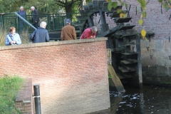 Bij Berenschots Watermolen, Foto Tonny Schulenberg
