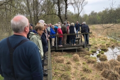 Gescher: Fürstenkuhle, Foto Anne Knüsting