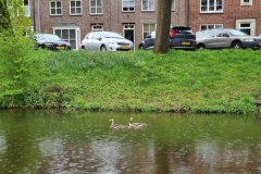 Excursie / Ausflug 3e Berkelcompagnie