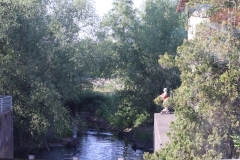 20250516_182436-IMG_3326-1200
