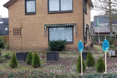 20230217_095359-1200